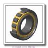 1.266 Inch | 32.166 Millimeter x 2.047 Inch | 52 Millimeter x 1.625 Inch | 41.275 Millimeter  LINK BELT M6205TV  Cylindrical Roller Bearings #1 small image