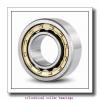 0.984 Inch | 25 Millimeter x 2.441 Inch | 62 Millimeter x 0.669 Inch | 17 Millimeter  LINK BELT MA1305TV  Cylindrical Roller Bearings #1 small image