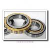 1.772 Inch | 45 Millimeter x 3.937 Inch | 100 Millimeter x 1.563 Inch | 39.7 Millimeter  LINK BELT MA5309EXC1424  Cylindrical Roller Bearings