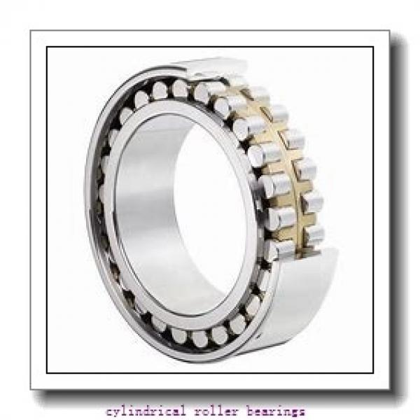 1.969 Inch | 50 Millimeter x 4.331 Inch | 110 Millimeter x 1.063 Inch | 27 Millimeter  LINK BELT MA1310EXC4M  Cylindrical Roller Bearings #1 image