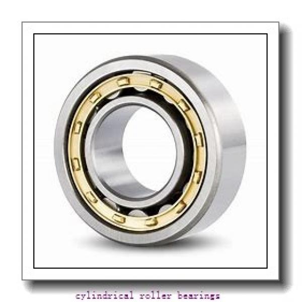 2.165 Inch | 55 Millimeter x 4.724 Inch | 120 Millimeter x 1.142 Inch | 29 Millimeter  SKF NU 311 ECP/C3L  Cylindrical Roller Bearings #1 image
