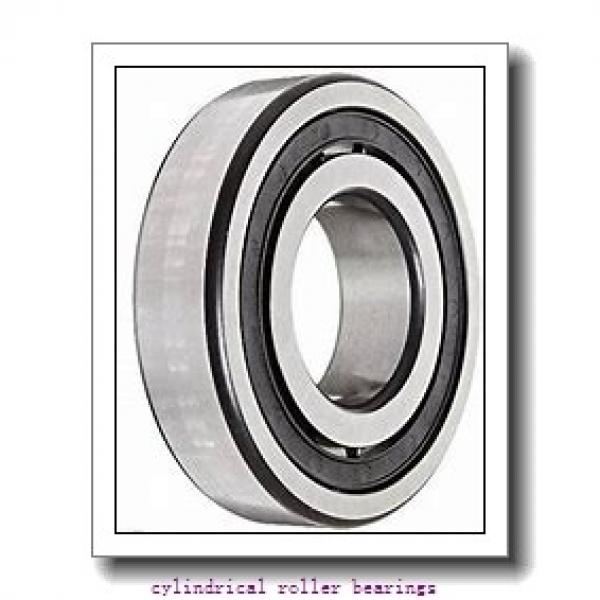 1.378 Inch | 35 Millimeter x 3.15 Inch | 80 Millimeter x 0.827 Inch | 21 Millimeter  LINK BELT MU1307UV  Cylindrical Roller Bearings #1 image