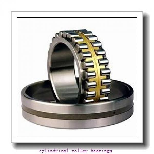 1.969 Inch | 50 Millimeter x 4.331 Inch | 110 Millimeter x 1.063 Inch | 27 Millimeter  SKF NU 310 ECP/C3L  Cylindrical Roller Bearings #1 image