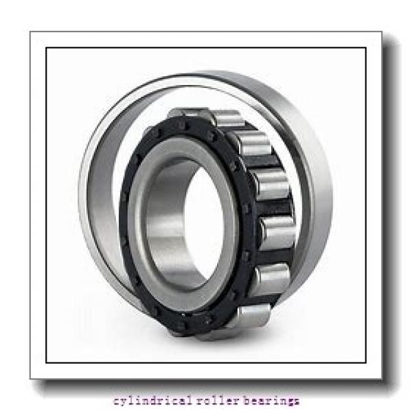 1.969 Inch | 50 Millimeter x 4.331 Inch | 110 Millimeter x 1.75 Inch | 44.45 Millimeter  LINK BELT MR5310EX  Cylindrical Roller Bearings #1 image