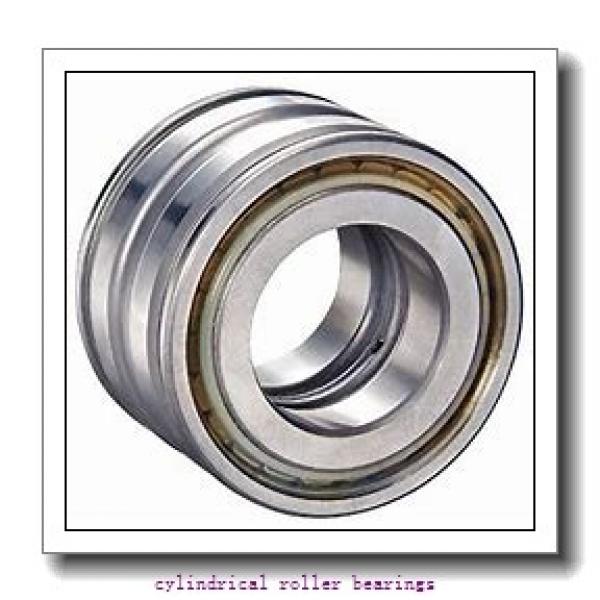 1.181 Inch | 30 Millimeter x 2.441 Inch | 62 Millimeter x 0.63 Inch | 16 Millimeter  SKF NJ 206 ECJ/C3  Cylindrical Roller Bearings #1 image